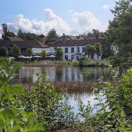 Frensham Pond Country House Hotel & Spa Farnham  Zewnętrze zdjęcie