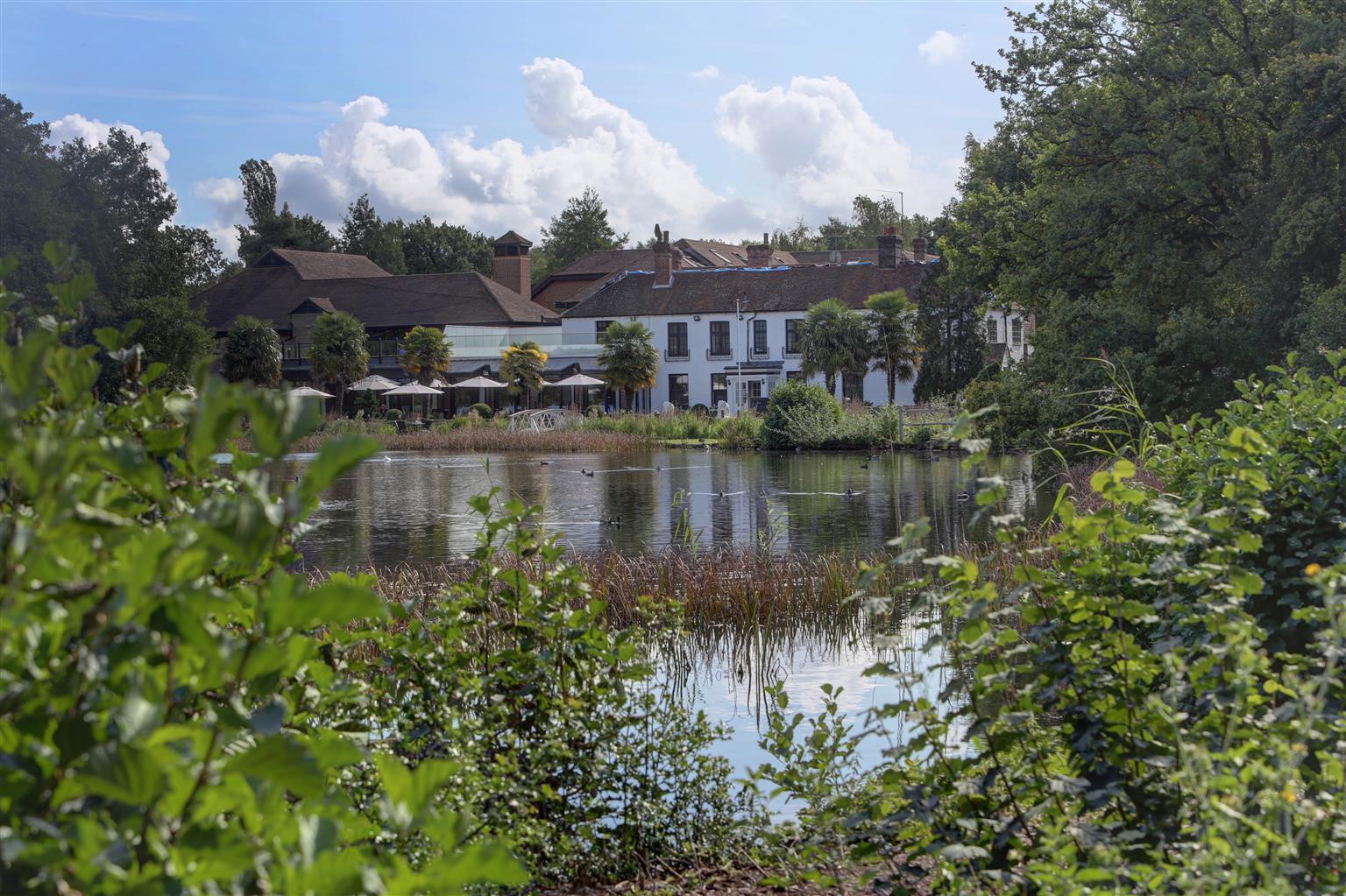 Frensham Pond Country House Hotel & Spa Farnham  Zewnętrze zdjęcie