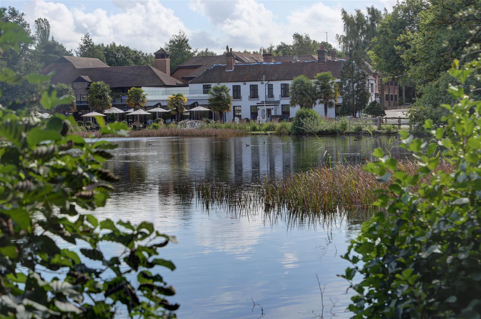 Frensham Pond Country House Hotel & Spa Farnham  Zewnętrze zdjęcie